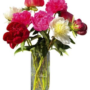 Spring Peony Bouquet