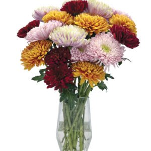 Optimism Bouquet