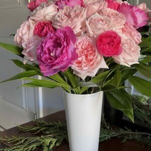 The Ultimate Year of Garden Roses