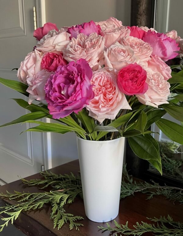 The Ultimate Year of Garden Roses