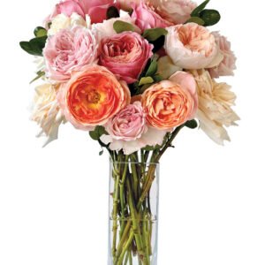 Peaches & Pink Fragrant Roses