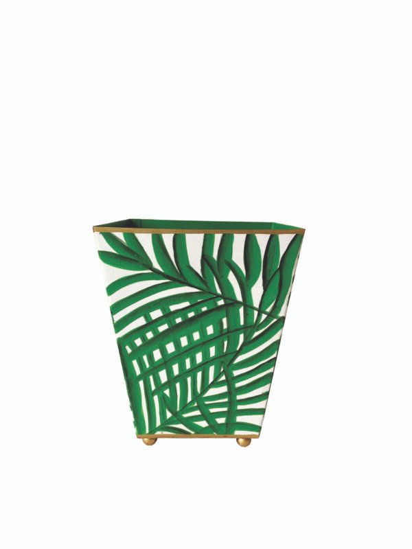 Bella Palm - Image 4