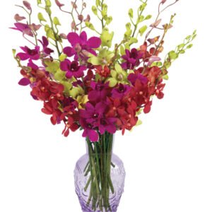 Charisma Orchid Bouquet