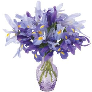 Sweet Iris Bouquet