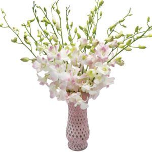 Pastel Perfection Orchid Bouquet