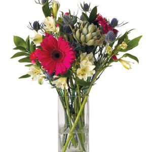 Gerbera Delight Bouquet