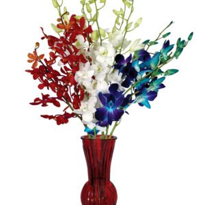 Patriotic Orchids