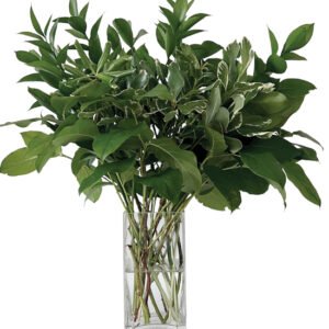 Go Green Bouquet