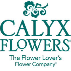 26 x 6 x7 “Larry or the Branded Calyx Box”