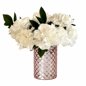 Glowing White Carnations