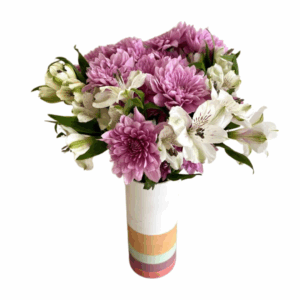 Chrysanthemums of Lavender
