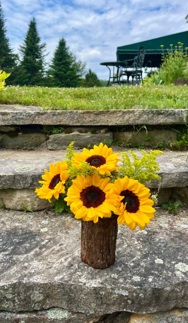 Sunflowers! - Image 2