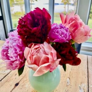Peonies from Oregon- DIY!  May 13- June 6th Hurry!