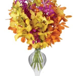 Exotic Orchid Trio