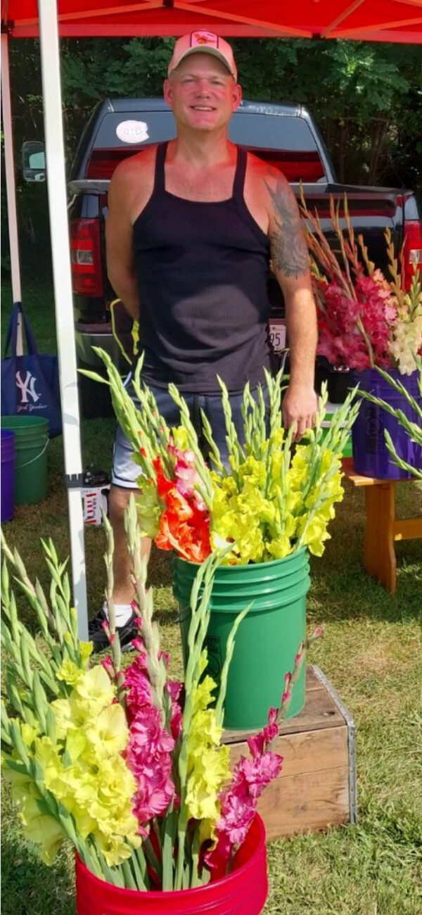 Stunning Gladiolus - Image 3