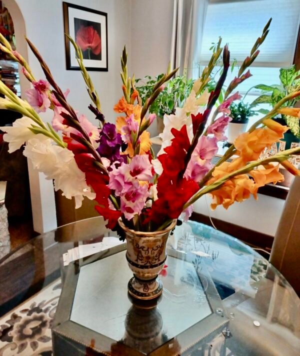 Stunning Gladiolus - Image 2
