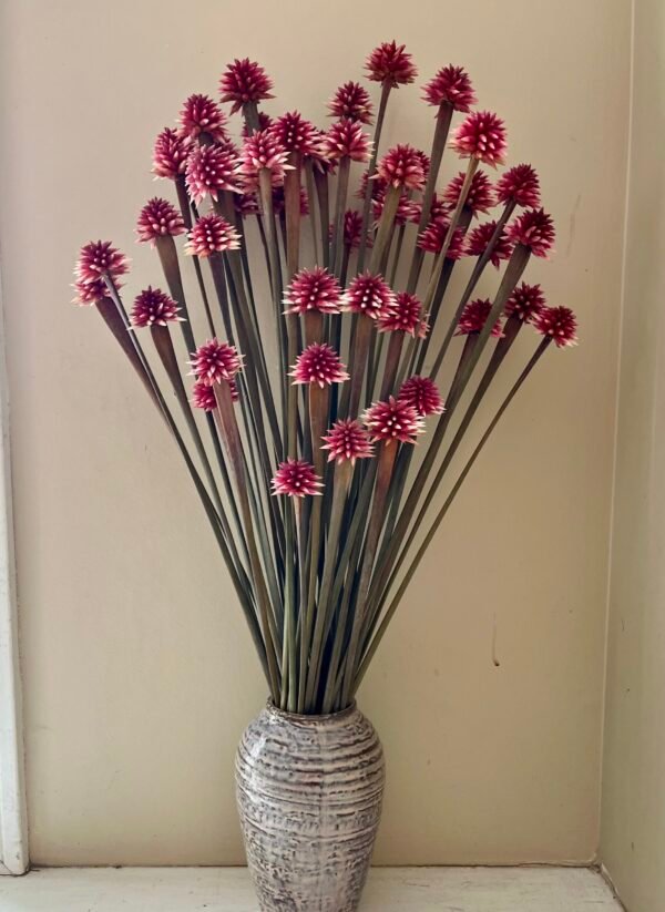 Exotic Stella – Exclusive to Calyx Flowers- range of pinks/burgundy/pale mauve - Image 5