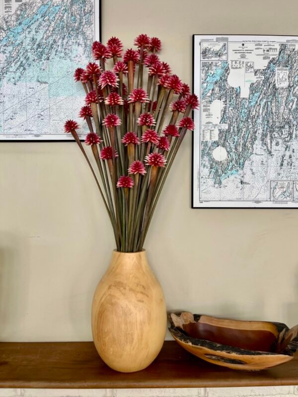 Exotic Stella – Exclusive to Calyx Flowers- range of pinks/burgundy/pale mauve - Image 4