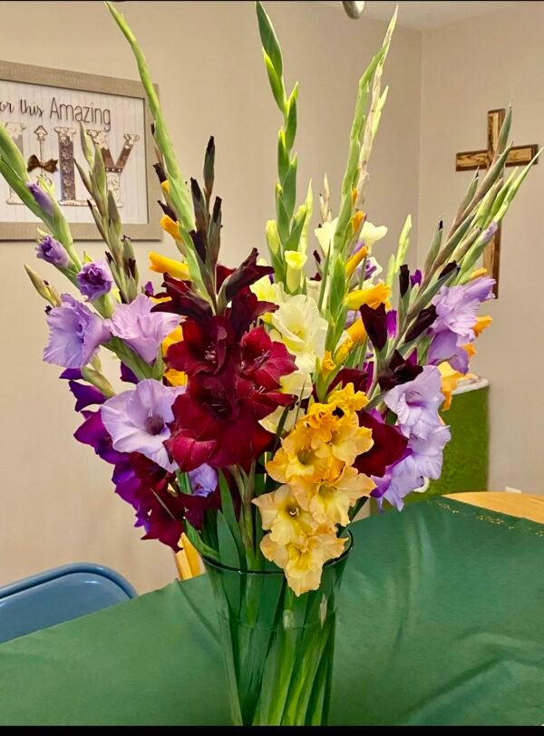 Stunning Gladiolus - Image 7
