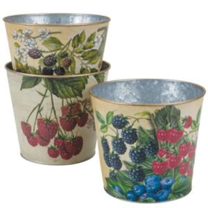 Summer Berries Metal Pot  4.5″ inch