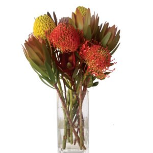 Tropical Sunrise Pincushion Bouquet