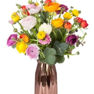 Springtime Ranunculus