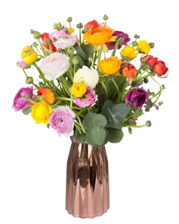 Springtime Ranunculus