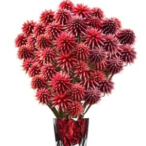 Exotic Stella – Exclusive to Calyx Flowers- range of pinks/burgundy/pale mauve