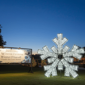 Waterfront 3D Snowflake