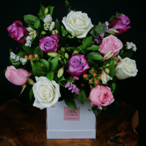 Lexi Box - Purple Deluxe