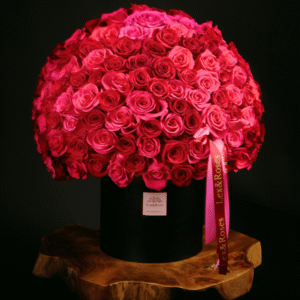 Red & Hot Pink Roses - HatBox