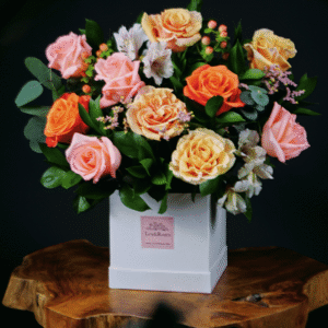 Lexi Box - Peach Deluxe