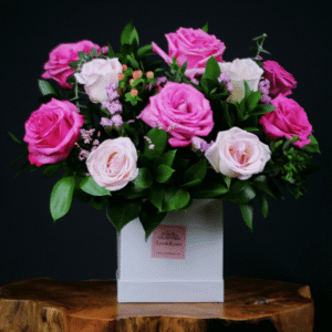 Lexi Box - Light Pink & Hot Pink