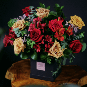 Lexi Box - Cappuccino & Red