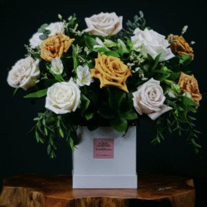 Lexi Box - Cappuccino Deluxe