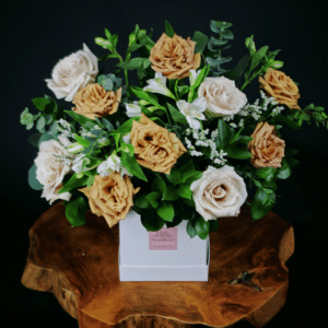 Lexi Box - Cappuccino & Sandstone