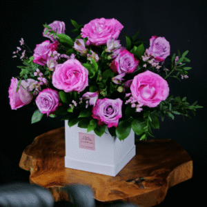 Lexi Box - Pink & Purple