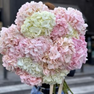 Classic Hydrangea Charm