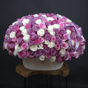 W Basket Oval - Purple Deluxe