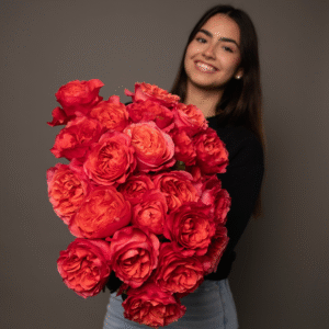 TANGERINE PEONY ROSE