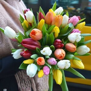 Tulips Mix