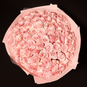 Glitter Light Pink Roses