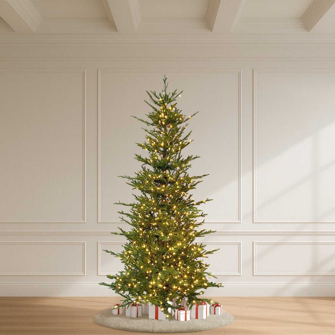 Vail Spruce Tree, 9.5', Slim