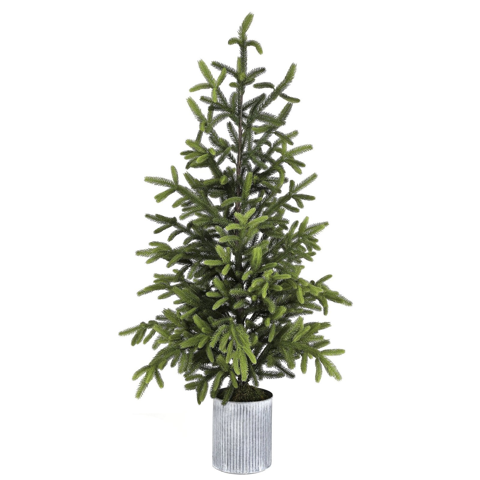 Potted Natural Touch Norway Spruce Tree, 60"