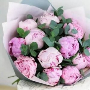 Peonies