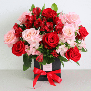 Lexi Box - Pink & Red